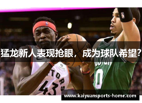 猛龙新人表现抢眼，成为球队希望？