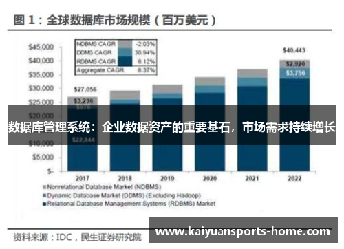 数据库管理系统：企业数据资产的重要基石，市场需求持续增长