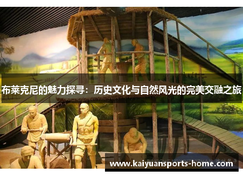 布莱克尼的魅力探寻：历史文化与自然风光的完美交融之旅